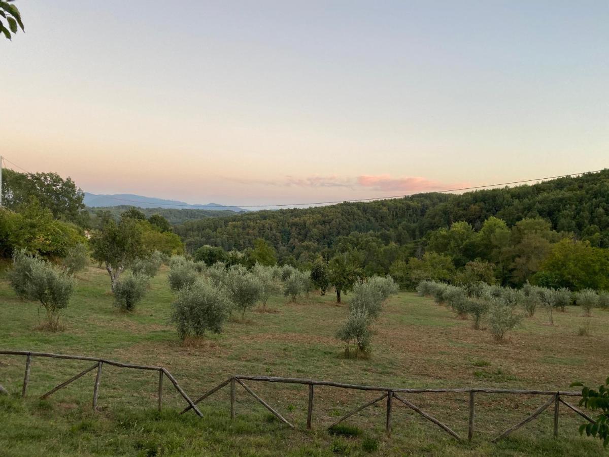 Mangone  Agriturismo Borgo Serafino מראה חיצוני תמונה